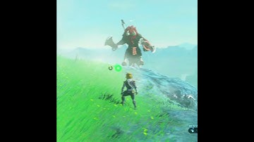 Have you ever seen a Lynel do this?? #shorts