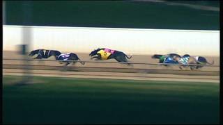 WBL THU 18 JUN 15 R8