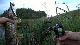 Это однозначно ЩУЧЬЯ погода! Ловля Щуки на воблер летом. Это однозначно ЩУЧЬЯ погода! Ловля Щуки на воблер летом.