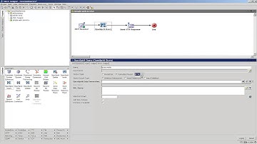OpenSpirit Custom Web Service