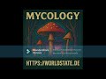 Magoam - Chanerelle