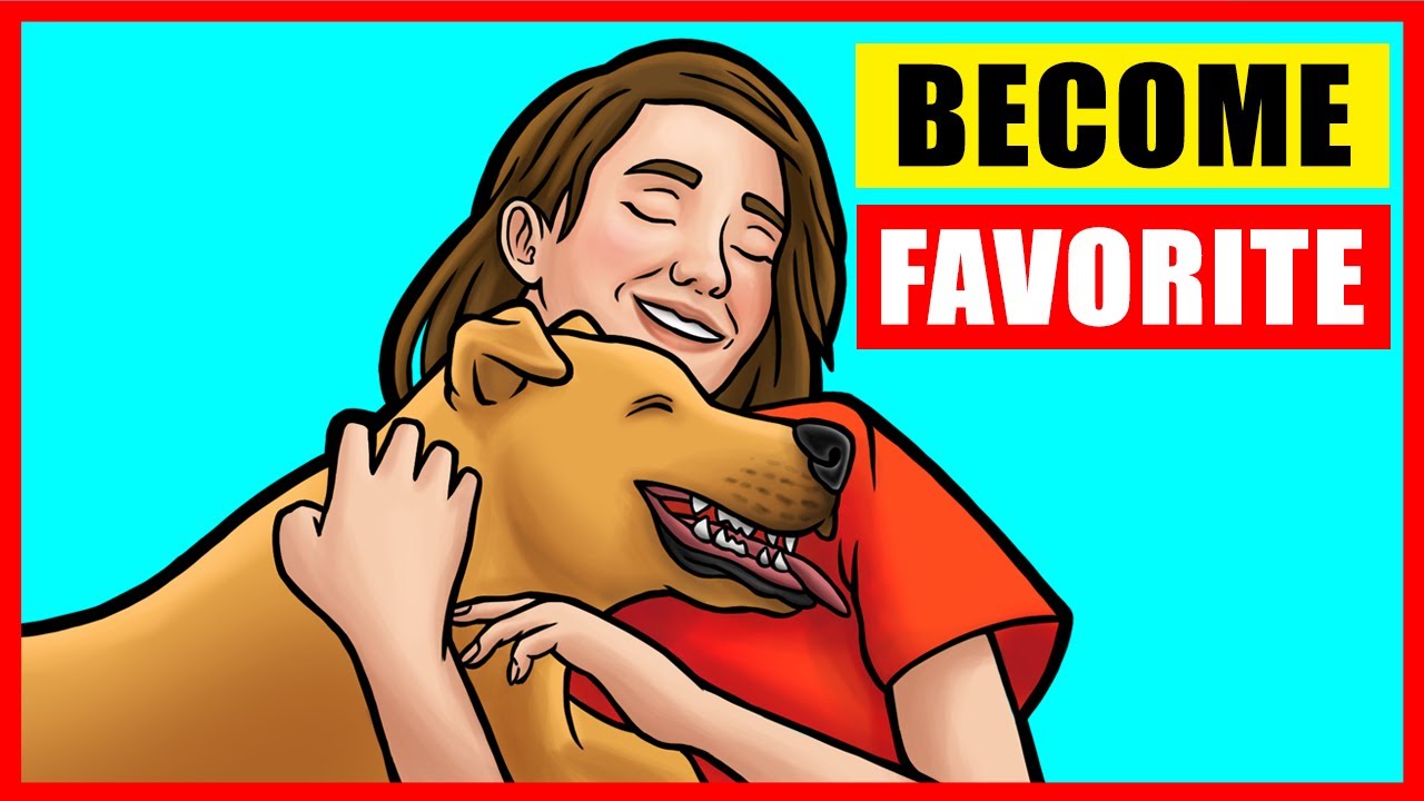 How Do Dogs Choose Their Favorite Person?  