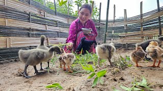 The simple life of a 17-year-old girl in a remote village in the high mountains bordering China