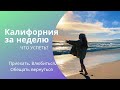 КАЛИФОРНИЯ за неделю! Кого из ЗВЕЗД мы встретили?