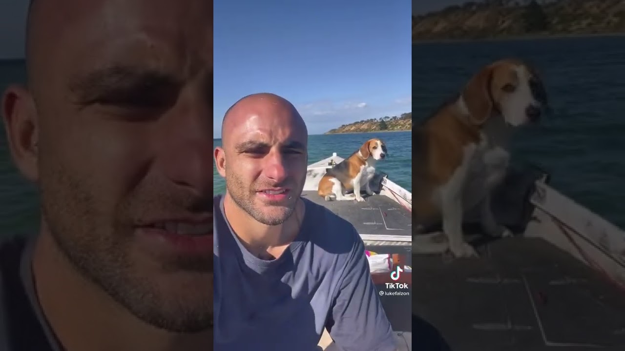 Tiktok: How to Catch and Cook Banjo Shark in the Wild! (@lukefalzon)