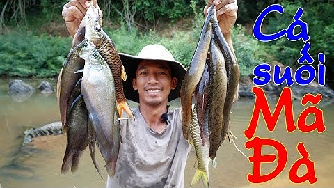 Thả lưới trong rừng được bầy suối mùa khô rất ngon ✅