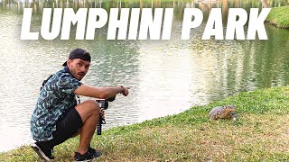 Bangkok, Thailand Vlog 2023 | Lumphini Park's Monitor Lizards