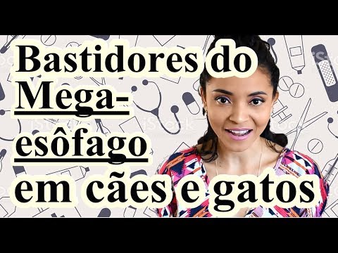 Vídeo: Prevalência E Fatores De Risco Para Malária Por Plasmodium Falciparum Em Mulheres Grávidas Que Frequentam A Clínica Pré-natal Em Bobo-Dioulasso (Burkina Faso)