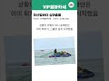 부산앞바다 상어출몰