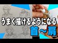 首から肩｜うまく描けるようになるコツ