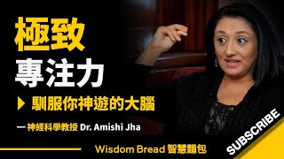 人為什麼會分心專家教你如何保持「雷射光束」般的專注力  Dr. Amishi Jha中英字幕