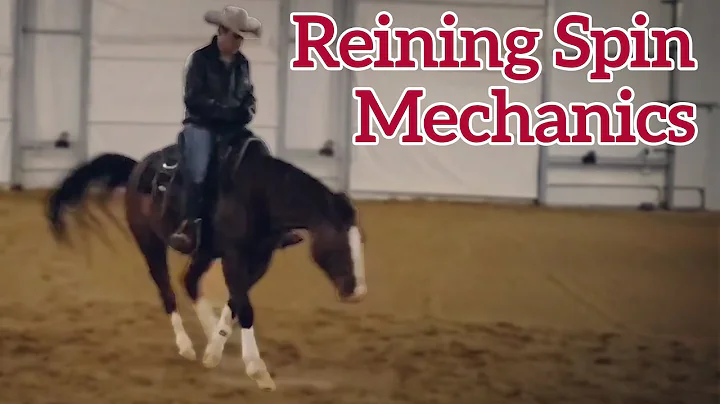 The Mechanics of a Reining Spin by Luke Gingerich