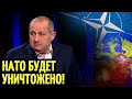 Яков Кедми о решительности России жестко ответить на агрессию стран НАТО! Мощная аналитика