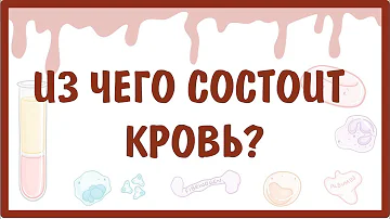 [физиология] — Из чего состоит КРОВЬ?