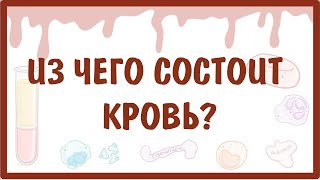 [физиология] — Из чего состоит КРОВЬ?