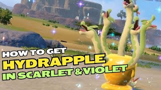 How to Get Hydrapple in Pokémon Scarlet & Violet!