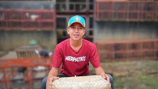 Unbesek Merpati Beli Dikios Ksm 