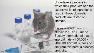 Why Do We Still Test Cosmetics on Animals?