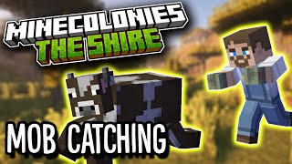 Minecolonies: The Shire 16 -  Catching Cows