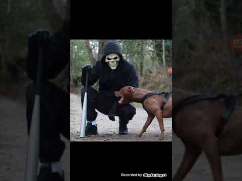 اغنيه انا هرمي التليفون سعد المجرد ومحمد رمضان