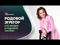 Кто входит в Родовую систему?