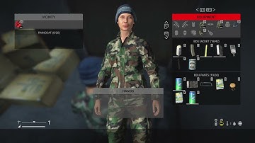1.16 DayZ inventory update