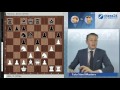 Wei Yi - David Navara, Wijk aan Zee 2016: Grandmaster Analysis