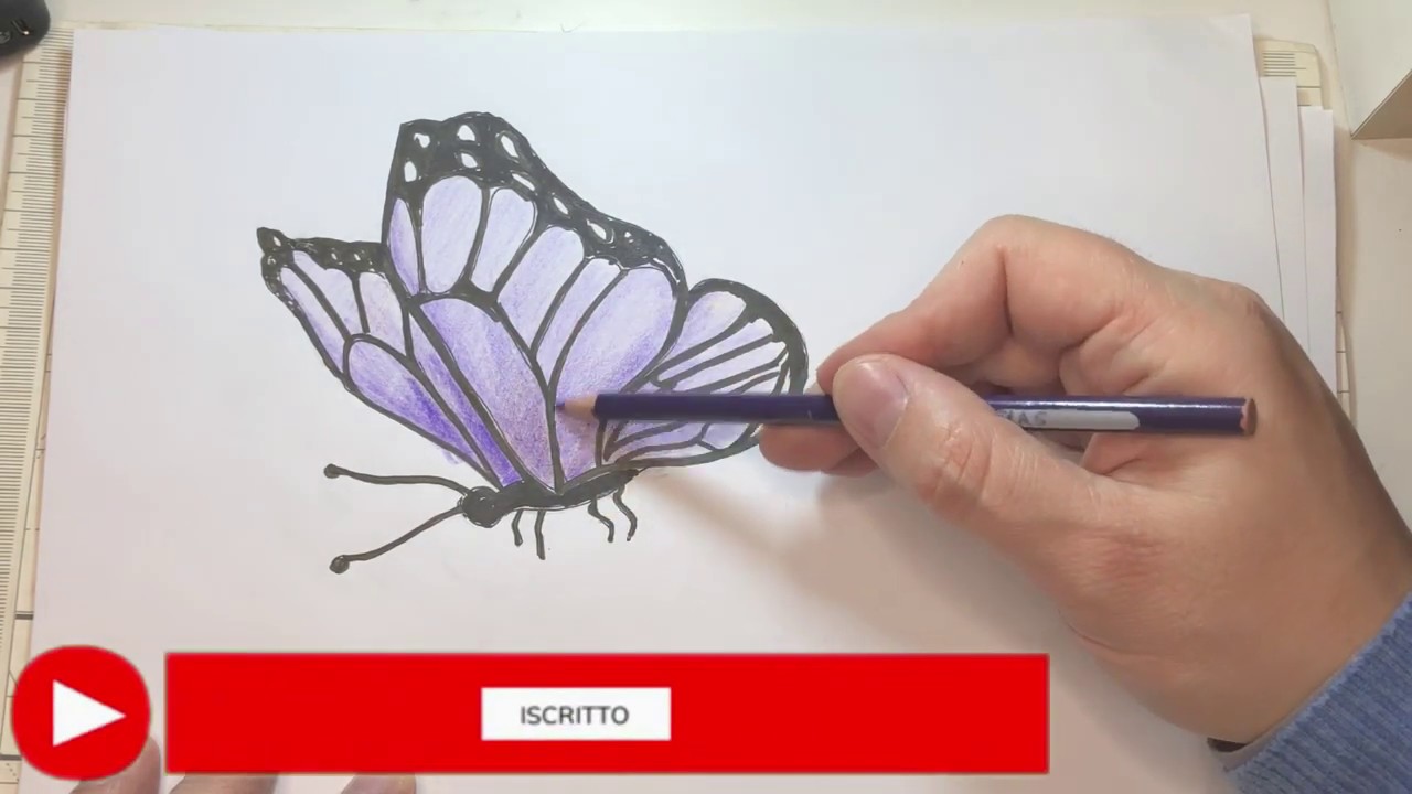 disegno coccinella che vola