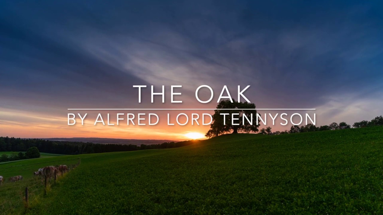 The Oak by Alfred Lord Tennyson YouTube
