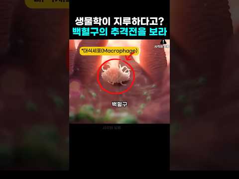 우리 백혈구 신났네 신났어 thumbnail