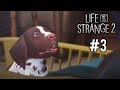 RUBARE o NON RUBARE? - Life is Strange 2 #3