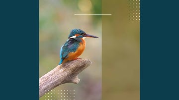 Pulsating Waltz - Vibe for Unwinding Evening Sessions