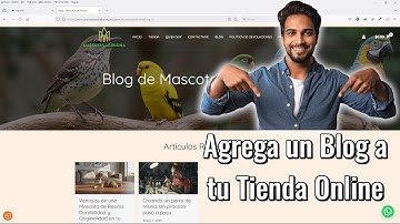 Cómo Agregar un Blog en tu Tienda Online de Wordpress y Crear Artículos con IA