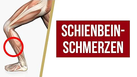 Wie dehne ich den vorderen Schienbeinmuskel?