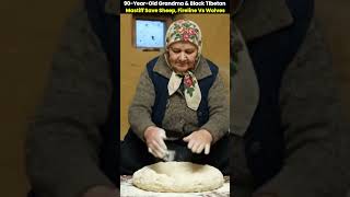 90-Year-Old Grandma & Black Tibetan Mastiff Save Sheep, Fireline vs Wolves. #Blizzard #survival