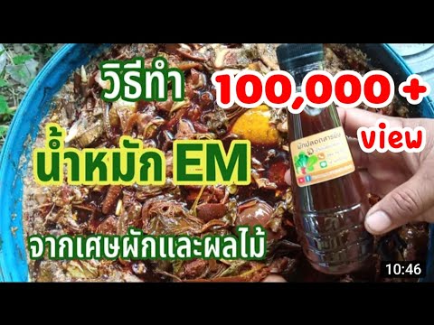 วิธีทำน้ำหมัก EM จากเศษผักผลไม้ | สอนทำน้ำหมัก EM จากเศษผักผลไม้ มีประโยชน์ต่อพืชผักและดิน