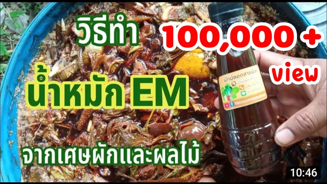 วิธีทำน้ำหมัก EM จากเศษผักผลไม้ | สอนทำน้ำหมัก EM จากเศษผักผลไม้ มีประโยชน์ต่อพืชผักและดิน | ปรับปรุงใหม่ทํา น้ํา หมัก จาก เศษ อาหารเนื้อหาที่เกี่ยวข้อง