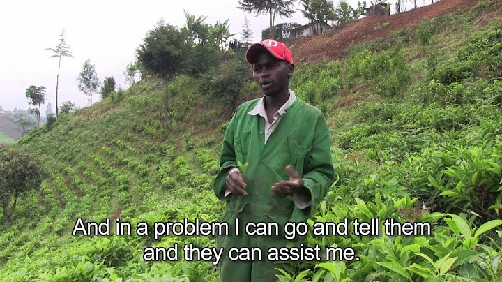 Kenyan Youth Group Takes the Lead