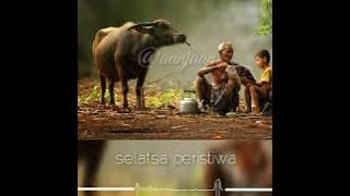 STATUS WA - Titip rindu buat ayah (Ebiet g Ade)