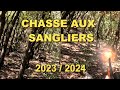 Chasse aux sangliers dans le département de L&#39;Hérault