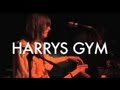 Harrys Gym - "Extraordinary Girl"