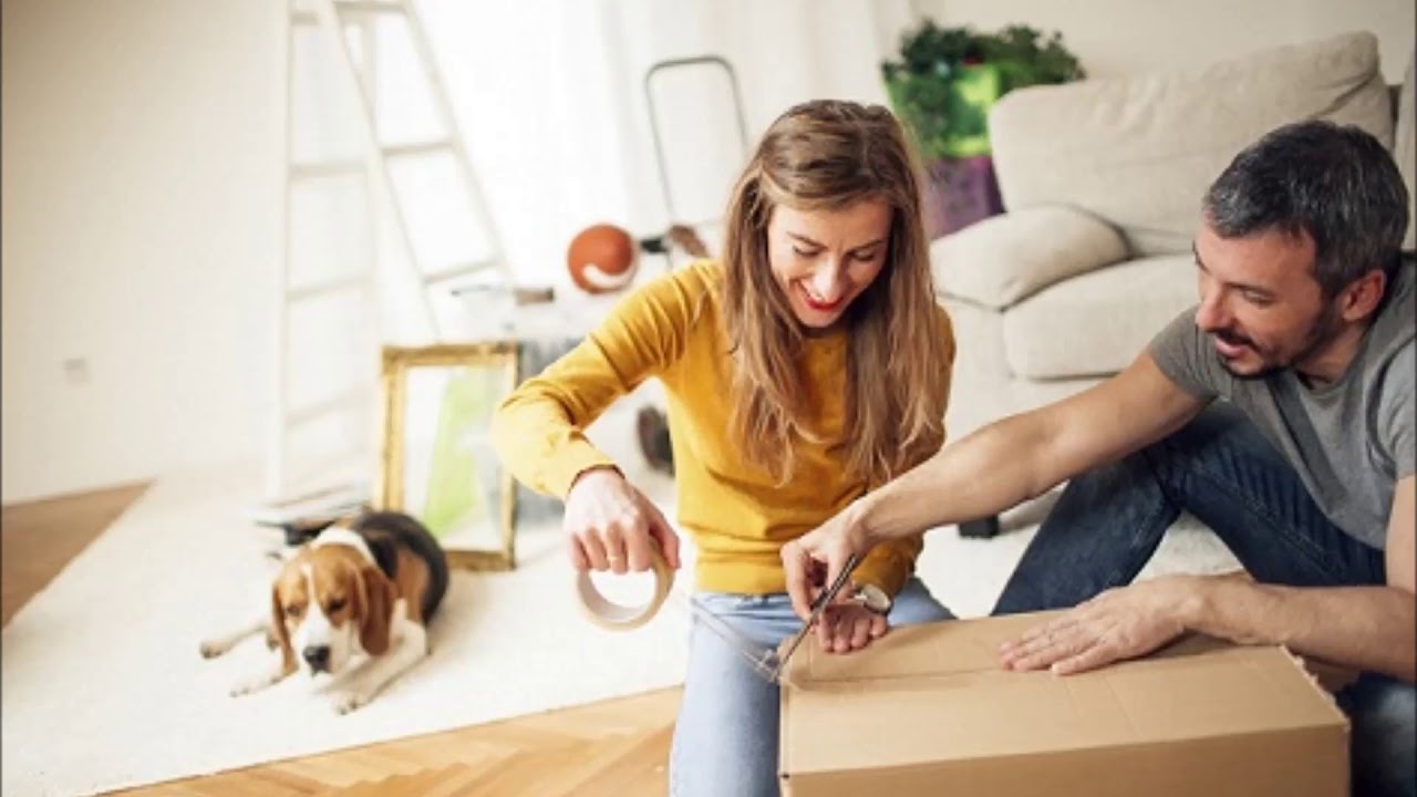 All moving companies in abu dhabi