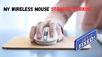 🐁My wireless mouse stopped working🐁 -here is how to fix?