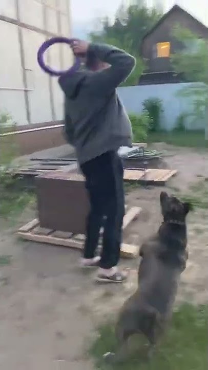 youtube.com
