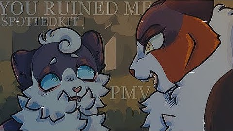 []  You ruined me, SpottedKit || WarriorCat OC PMV []