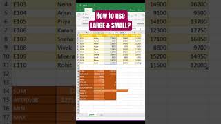 How to use LARGE & SMALL in Excel? | Excel Functions Explained | @DataCraft_017