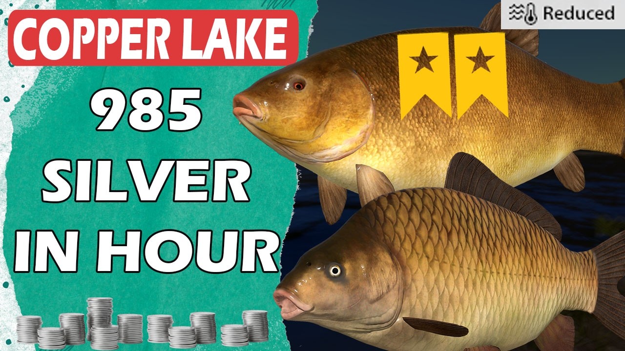 COPPER LAKE - 985 Silver in Hour - Trophy Spot - Silver Farm - Russian ...