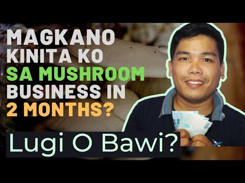 Video: Magkano ang halaga ng mga kabute ng morel bawat kilo?