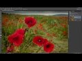 Poppies 15 Minute Photo Challenge Ep 129: Take and Make Great Photos with Gavin Hoey