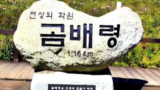 곰배령.조은성